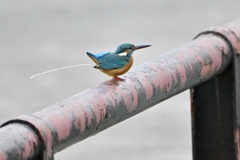 失礼します＾＾