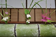 美しく飾られた花々