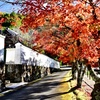 白壁と紅葉