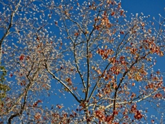 満天の星空・・・の様＾＾