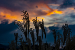 秋の夕景