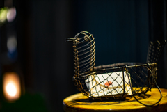 西中洲にて 西中洲にて