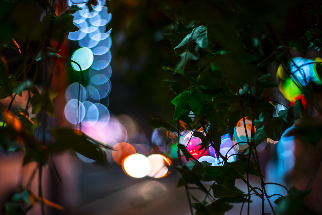 花屋の軒先