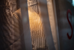 カーテン カーテン