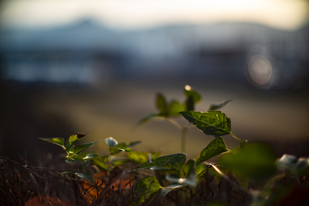 年が変わっても