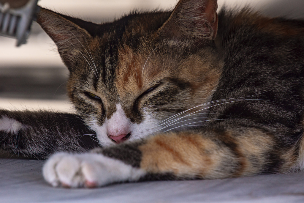 お母さんはとにかく眠い