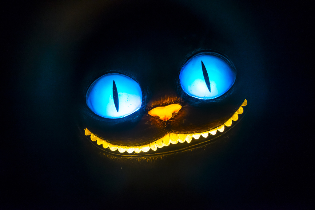 水曜日のアリス