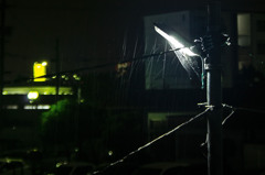 終日雨