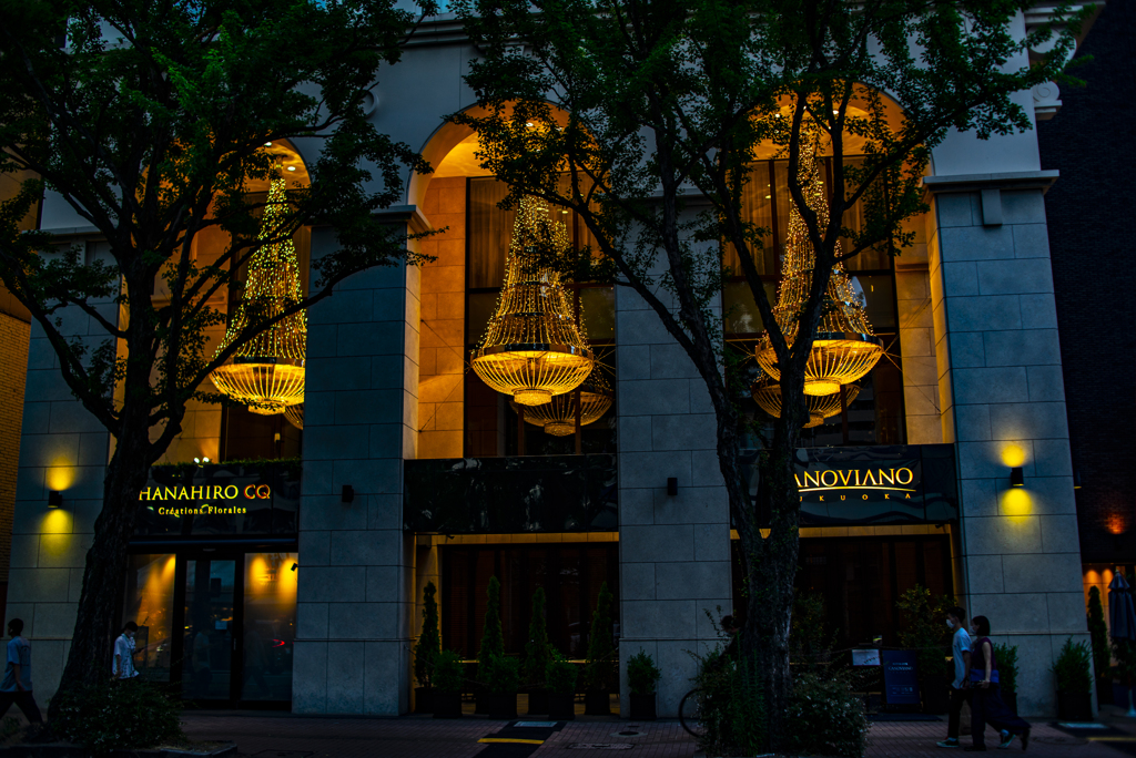 カノビアーノ福岡