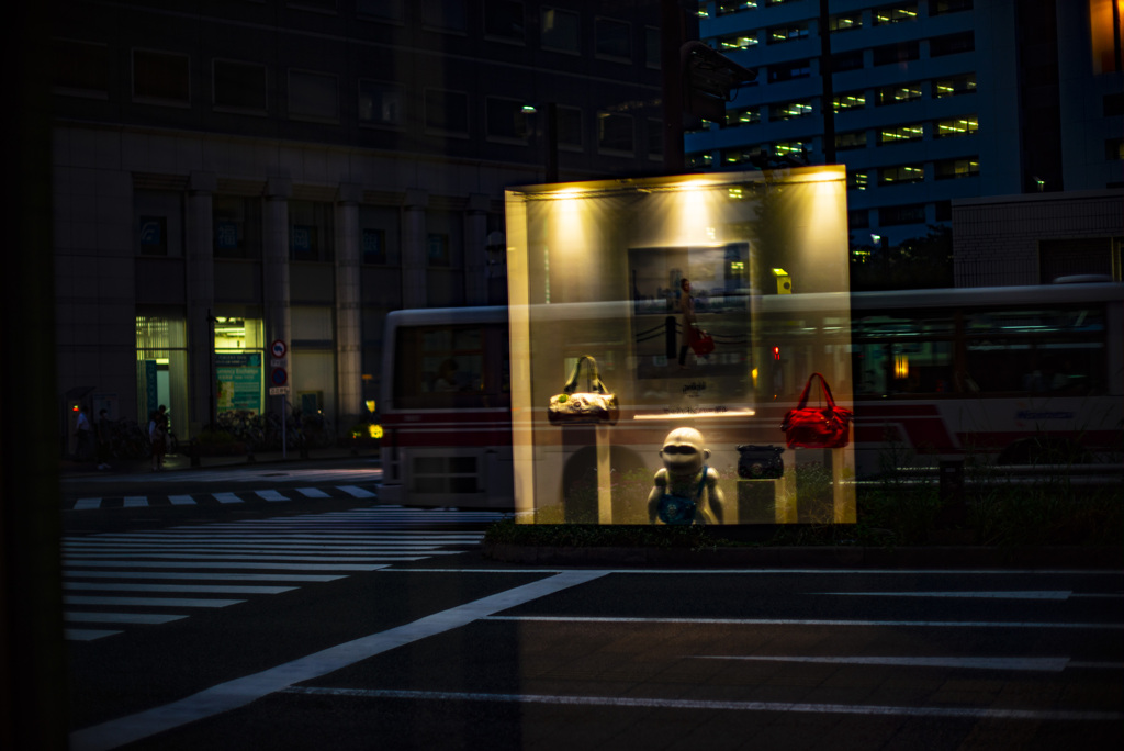 道路　ショーウインドー