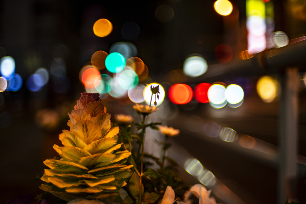道路