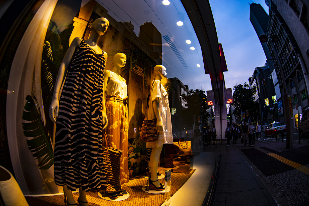 ショーウインドー