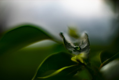 雨滴