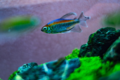 ソニーストア 福岡天神で