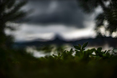 どんよりとした空