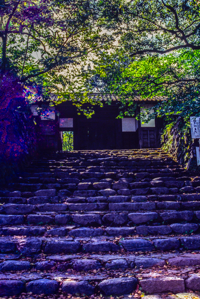 1986年5月のフィルム