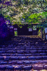 1986年5月のフィルム 1986年5月のフィルム