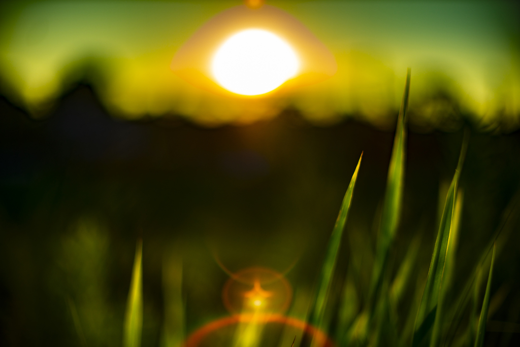 夕日