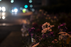 夜の道路　雨