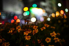 道路の花壇