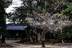 小さな神社