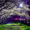 桜のトンネル