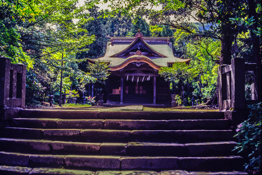 1986年5月のフィルム