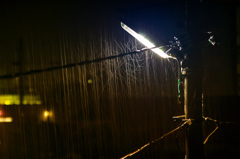 降り止まぬ雨