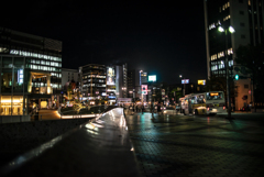 橋　水上公園　中洲