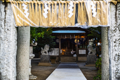 小さな神社の小さな正月