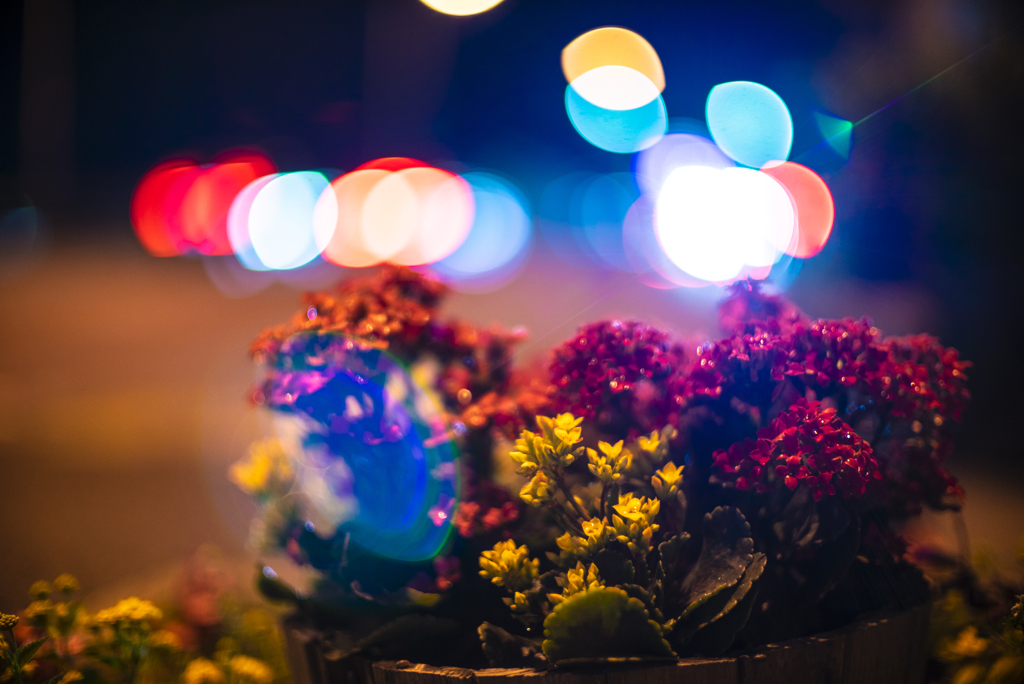 花　夜道　ゴースト