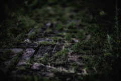 レンガの道 レンガの道