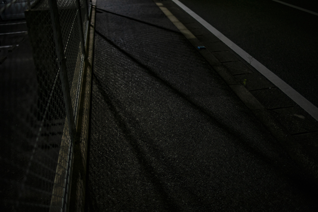 夜の歩道