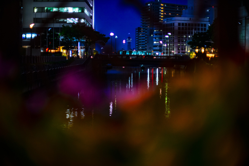 橋の花壇と向こうの橋のバス