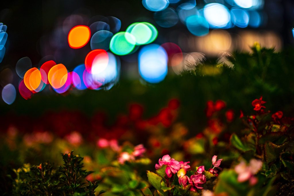 道路の花壇
