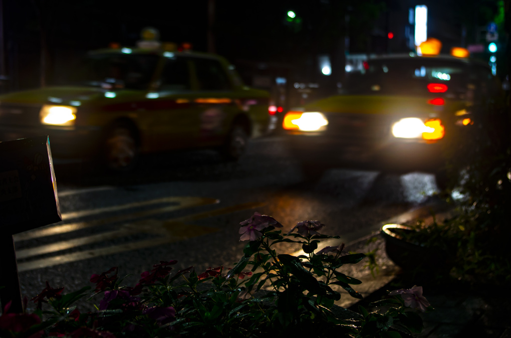 花　タクシー　雨