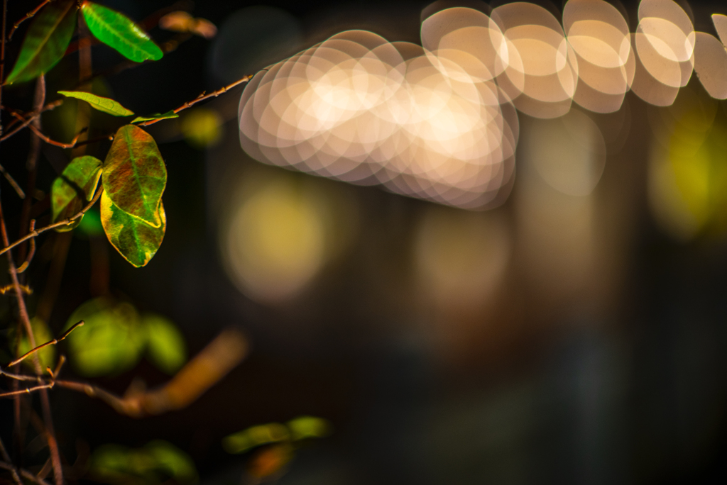 ロンハーマンカフェ福岡にて