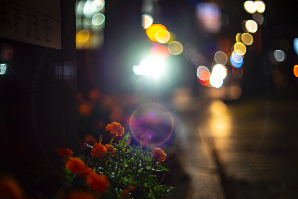 路上