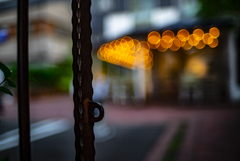 ロンハーマンカフェ福岡