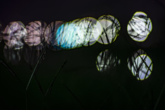 草　遠くの灯り