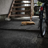 アパート　猫