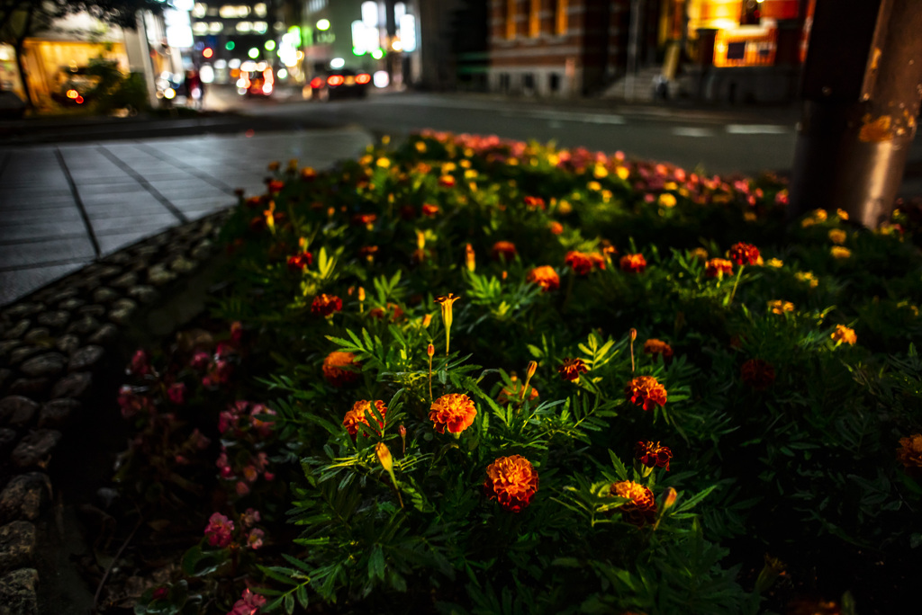 歩道