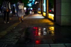 少し雨が降った