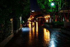 雨の公園