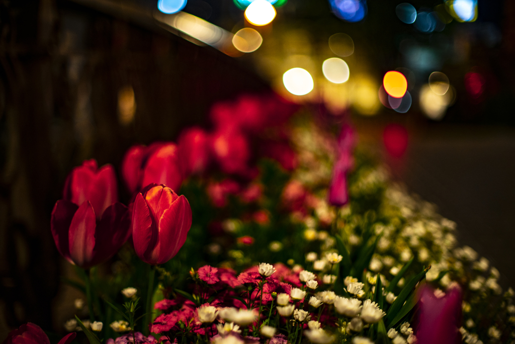 橋の花壇
