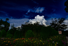 夏の雲 夏の雲