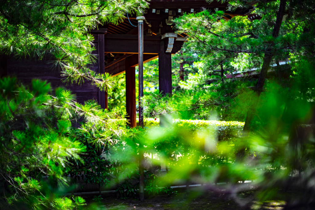 承天寺