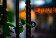 ロンハーマン福岡