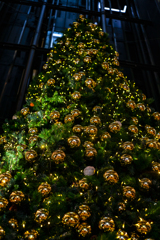 ソラリアプラザ