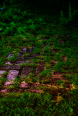 レンガの道 レンガの道